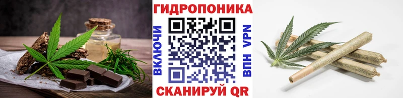 где найти наркотики мориарти телеграм Cannafood конопля Тотьма