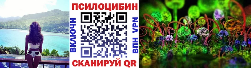 Галлюциногенные грибы Cubensis Тотьма